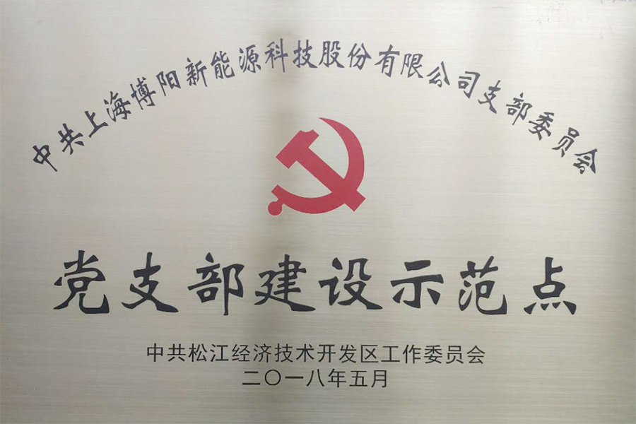 博阳新能喜获“党支部建设示范点”荣誉称号 博阳新能喜获“党支部建设示范点”荣誉称号